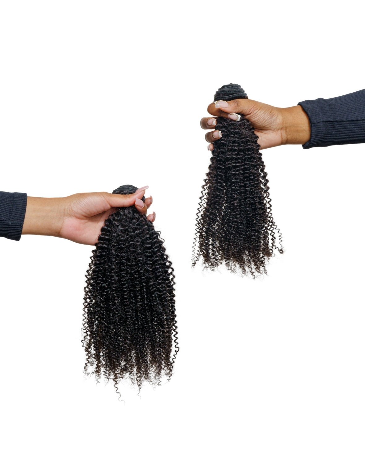 Coily Curl - ANJAE MONEA BEAUTY