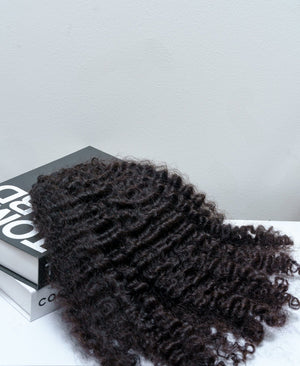 Colored Raw Kinky Curly - ANJAE MONEA BEAUTY